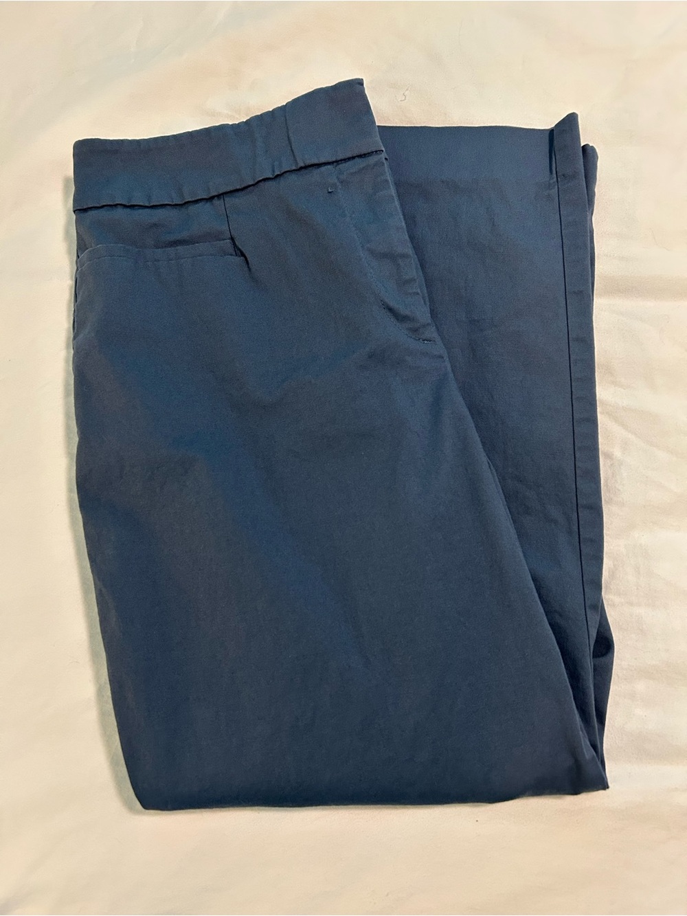 Ann Taylor Factory Blue Cropped Ankle Pants